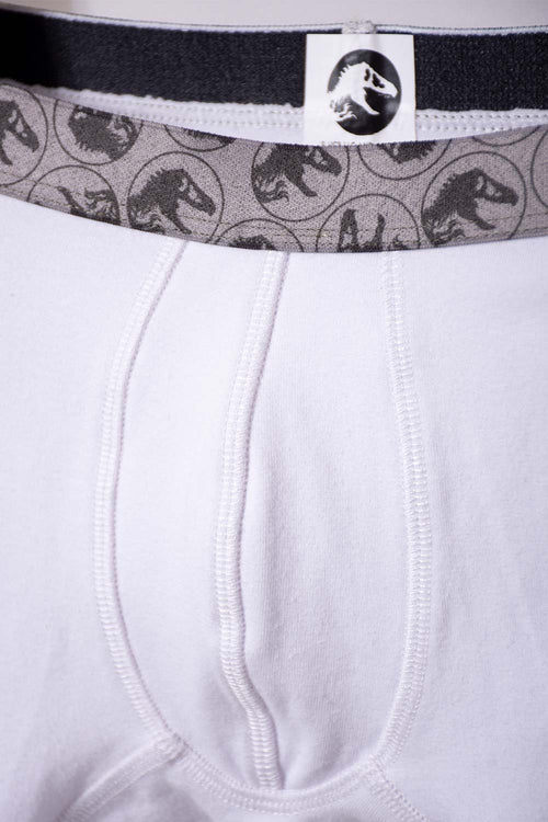 PACK X2 BOXER DE JURASSIC WORLD VERDE Y BLANCO PARA NIÑO