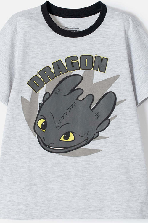 PIJAMA CÓMO ENTRENAR A TU DRAGÓN GRIS Y NEGRA DE PANTALÓN LARGO PARA NIÑO