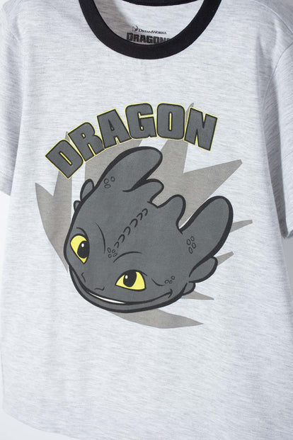 PIJAMA CÓMO ENTRENAR A TU DRAGÓN GRIS Y NEGRA DE PANTALÓN LARGO PARA NIÑO