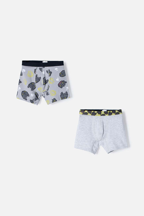 PACK X2 BOXER CÓMO ENTRENAR A TU DRAGÓN GRIS, NEGRO Y VERDE EN DÚO PARA NIÑO