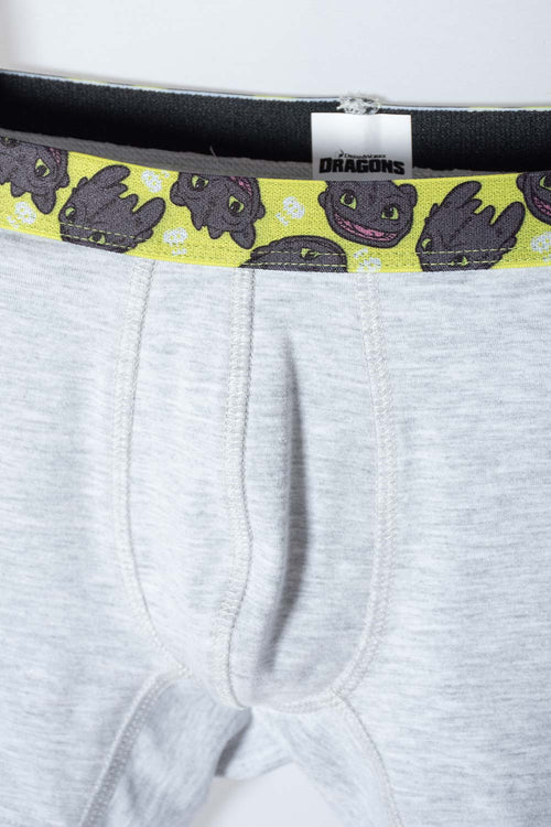 PACK X2 BOXER CÓMO ENTRENAR A TU DRAGÓN GRIS, NEGRO Y VERDE EN DÚO PARA NIÑO