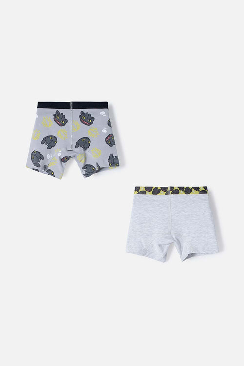 PACK X2 BOXER CÓMO ENTRENAR A TU DRAGÓN GRIS, NEGRO Y VERDE EN DÚO PARA NIÑO