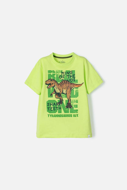 POLERA DE MIC MANGA CORTA VERDE PARA NIÑO