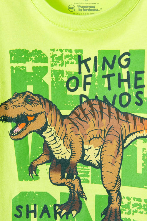 POLERA DE MIC MANGA CORTA VERDE PARA NIÑO