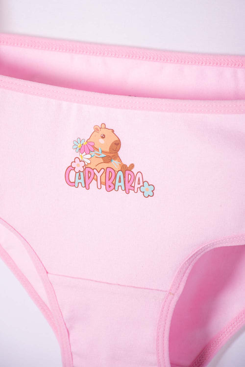 PACK X2 PANTIES DE CAPYBARA ROSA Y BLANCO PARA NIÑA
